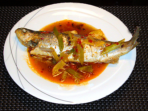 Sichuan Forellen